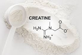 download (4) Should High School Wrestlers Take Creatine