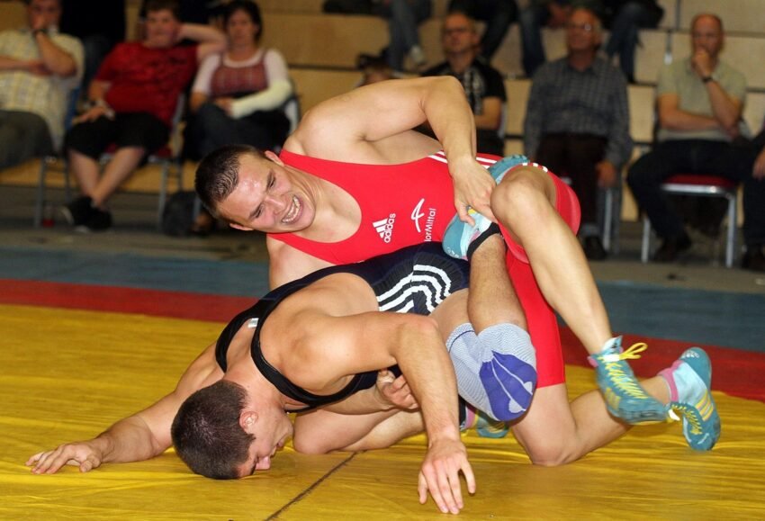 men, wrestling, competition, sports, court, grasp, fans, spectators, grappling, wrestling, wrestling, wrestling, wrestling, wrestling